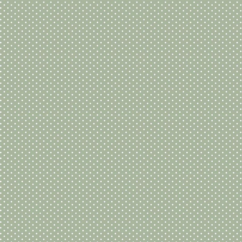 038176_000000_1