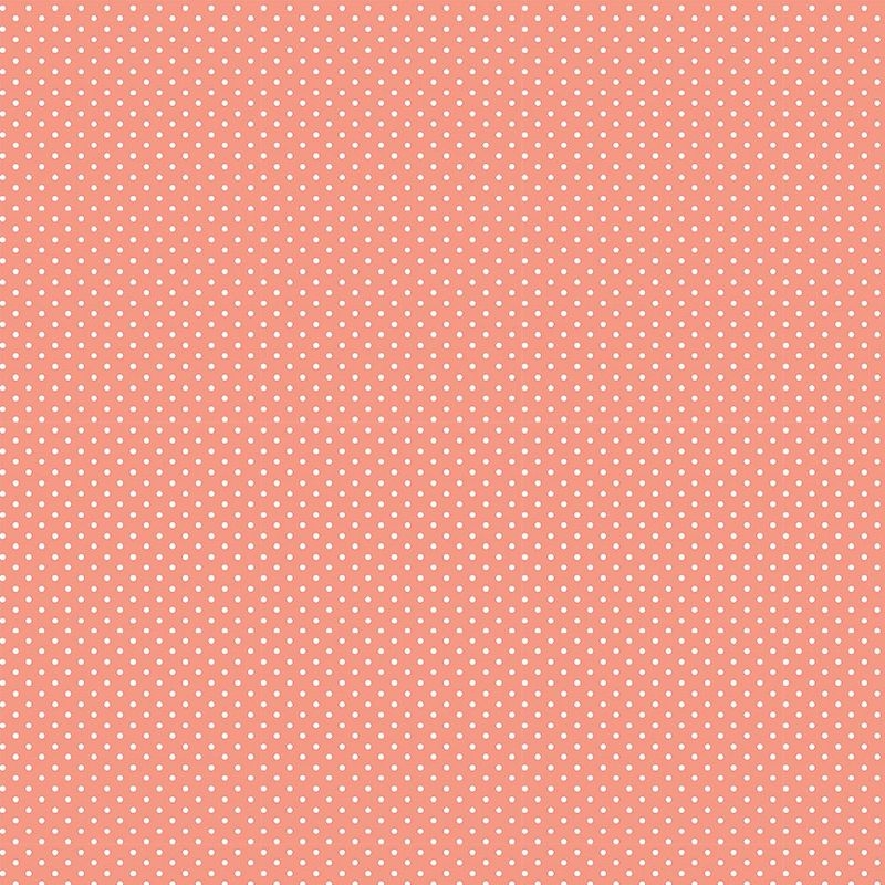 038177_000000_1