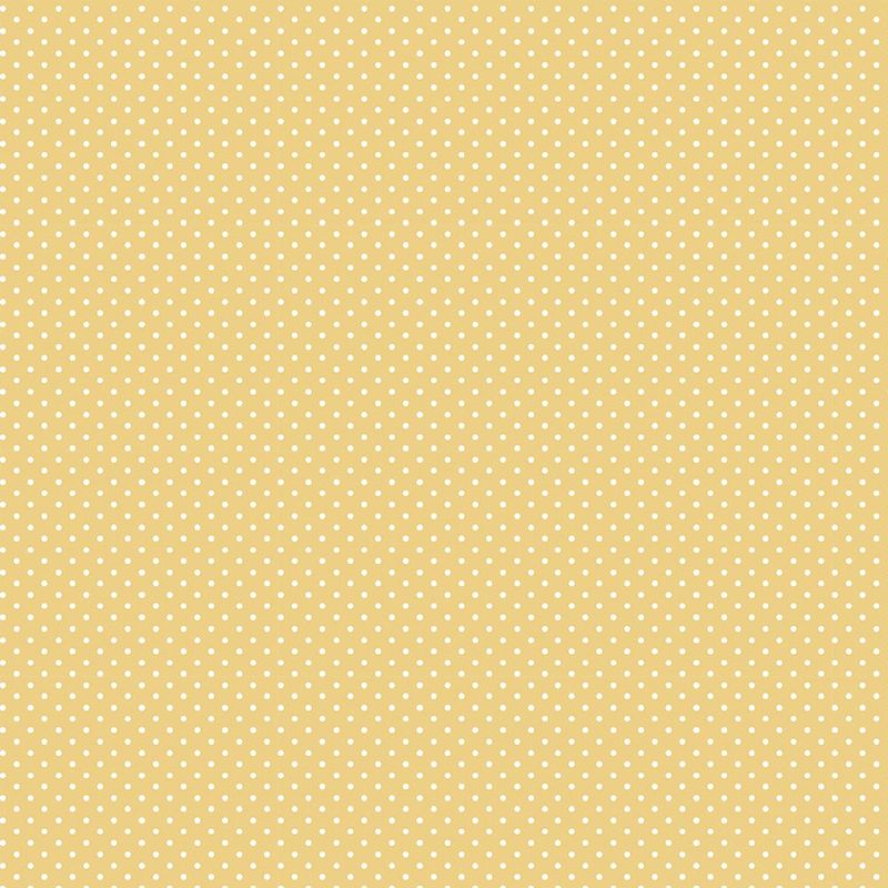 038179_000000_1