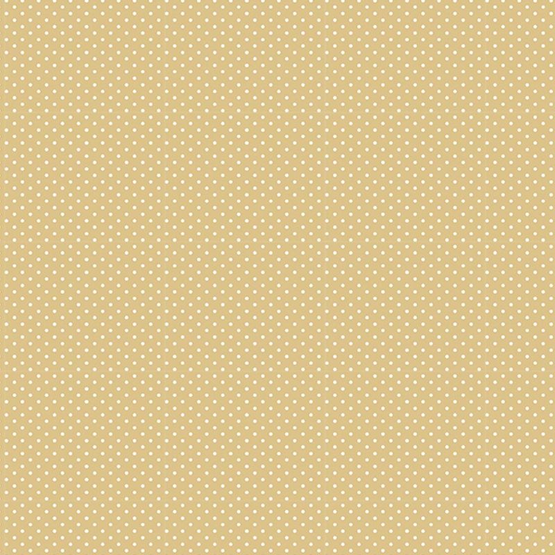 038180_000000_1