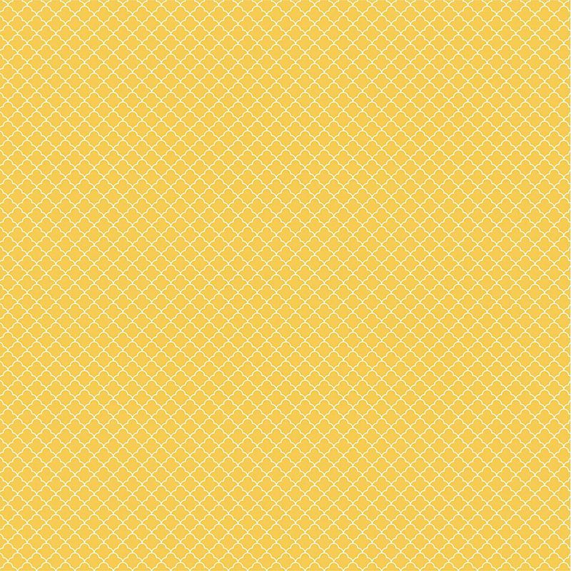 041001_000000_2
