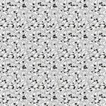 041027_000000_2