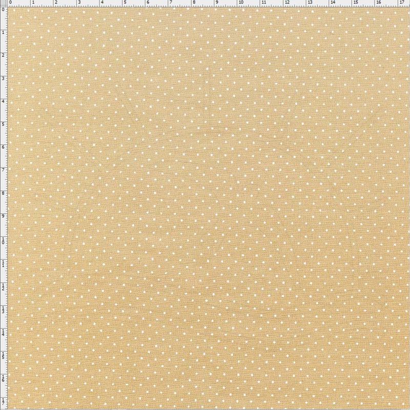 012957_000000_1
