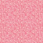 041995_000000_2