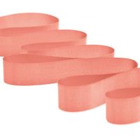 Fita de Cetim Nº 03 15mm com 10 Metros - Fitas Progresso - 2 1393 coral