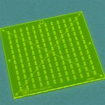 043442_000000_2