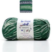 Fio Cisne Fanatic 100g 70305 verde com cinza