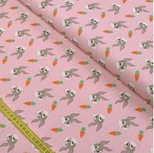 Tecido Tricoline Looney Tunes Baby : Pernalonga Fundo Rosa (0,50x1,40)