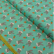 Tecido Tricoline Looney Tunes Baby : Pernalonga Fundo Verde (0,50x1,40)