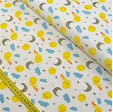 Tecido Tricoline Looney Tunes Baby : Piu Piu Soninho (0,50x1,40)