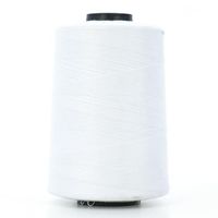 Linha para Pesponto Dinner 36 - 3600 metros 900 branco