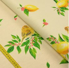 Tecido Estampado para Patchwork - Floratta: Barrado De Pássaro Com Limão (0,50x1,40)