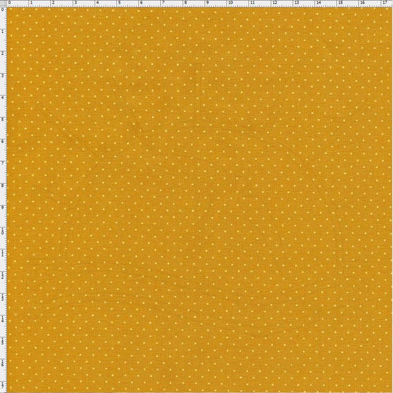 012965_000000_1