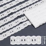 BORDADO INGLÊS PA010 001 BRANCO - 2,5CM 100% ALGODÃO