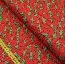 Tecido Estampado para Patchwork - Essentials Morango (0,50x1,50)