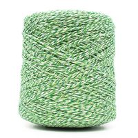 Barbante Mesclado Fial Nº06 700g Verde claro