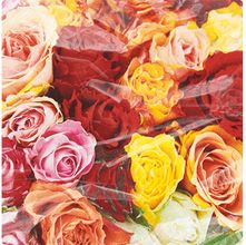 Guardanapo para Decoupage Botões de Rosas Coloridas - 5 Unidades