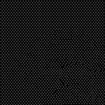 048691_000000_2