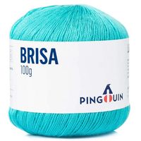 Linha Brisa Verão 100g 0508 turquesa