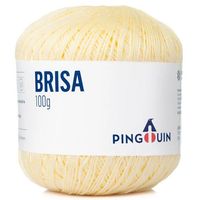 Linha Brisa Verão 100g 0201 - melão