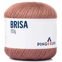 Linha Brisa Verão 100g 7760 sépia