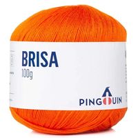 Linha Brisa Verão 100g 1208 - naranja