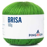 Linha Brisa Pingouin 100g 4638 - campo
