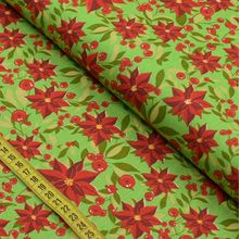 Tecido Estampado para Patchwork - Natal By Peter Paiva : Bico de Papagaio Fundo Verde (0,50x1,40)