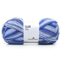 Lã Club Pingouin 100g - Saldão 6306 - ocean mix