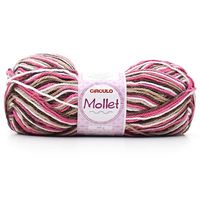 Lã Mollet Mesclado 100g 9306