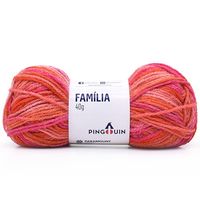 Lã Família 40g - Saldão 7024 - encanto mix