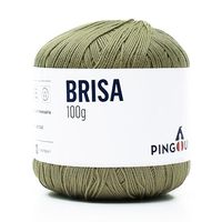 Linha Brisa Pingouin 100g - Saldão 1641 garapa