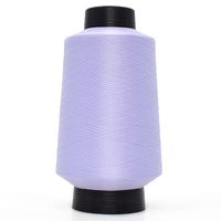 Linha para Helanca Trichê 300g - 100% Poliamida 419 lilás