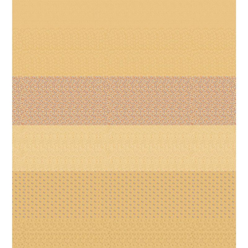 050117_000000_1