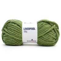 Fio Liverpool Pingouin 100g 4681 folhar