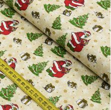 Tecido Estampado para Patchwork - Natal : Papai Noel 2662 (0,50x1,50)