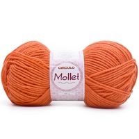 Fio Mollet 100g - Cores 2024 4165 energia