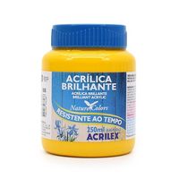 Tinta Acrílica Brilhante Acrilex 250ml 505 - amarelo ouro