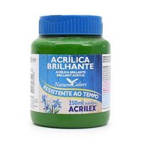 Tinta Acrílica Brilhante Acrilex 250ml 513 - verde musgo