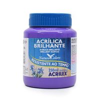 Tinta Acrílica Brilhante Acrilex 250ml 516 - violeta