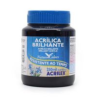 Tinta Acrílica Brilhante Acrilex 250ml 520 - preto