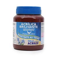 Tinta Acrílica Brilhante Acrilex 250ml 531 - marrom