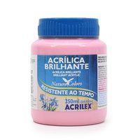 Tinta Acrílica Brilhante Acrilex 250ml 537 - rosa