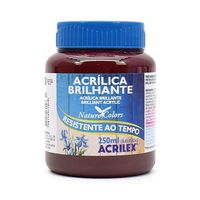 Tinta Acrílica Brilhante Acrilex 250ml 565 - vinho