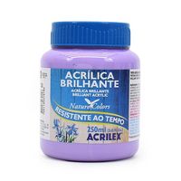 Tinta Acrílica Brilhante Acrilex 250ml 528 - lilás