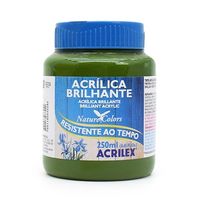 Tinta Acrílica Brilhante Acrilex 250ml 545 - verde oliva