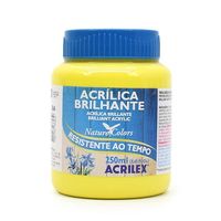 Tinta Acrílica Brilhante Acrilex 250ml 504 - amarelo limão