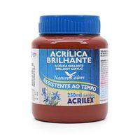 Tinta Acrílica Brilhante Acrilex 250ml 506 - cerâmica