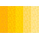 054467_000000_1