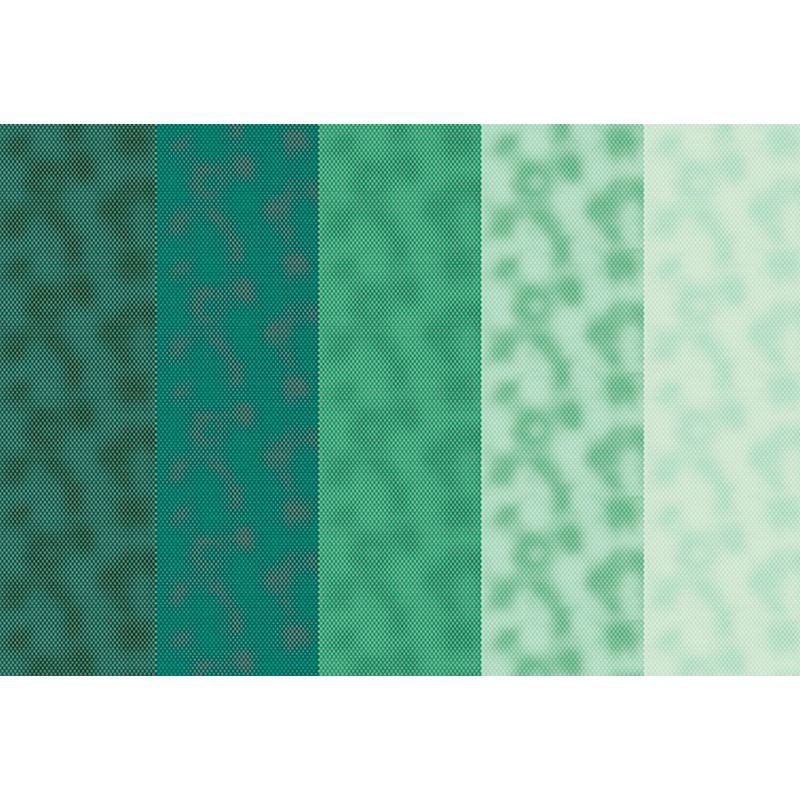 054474_000000_1